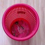 一摞廢紙就能拯救垃圾桶底部藏污納垢