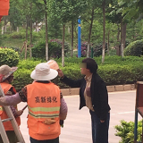 女子用垃圾桶懟綠化工是怎么回事？