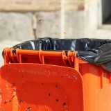 如何殺滅垃圾桶內(nèi)的小蒼蠅